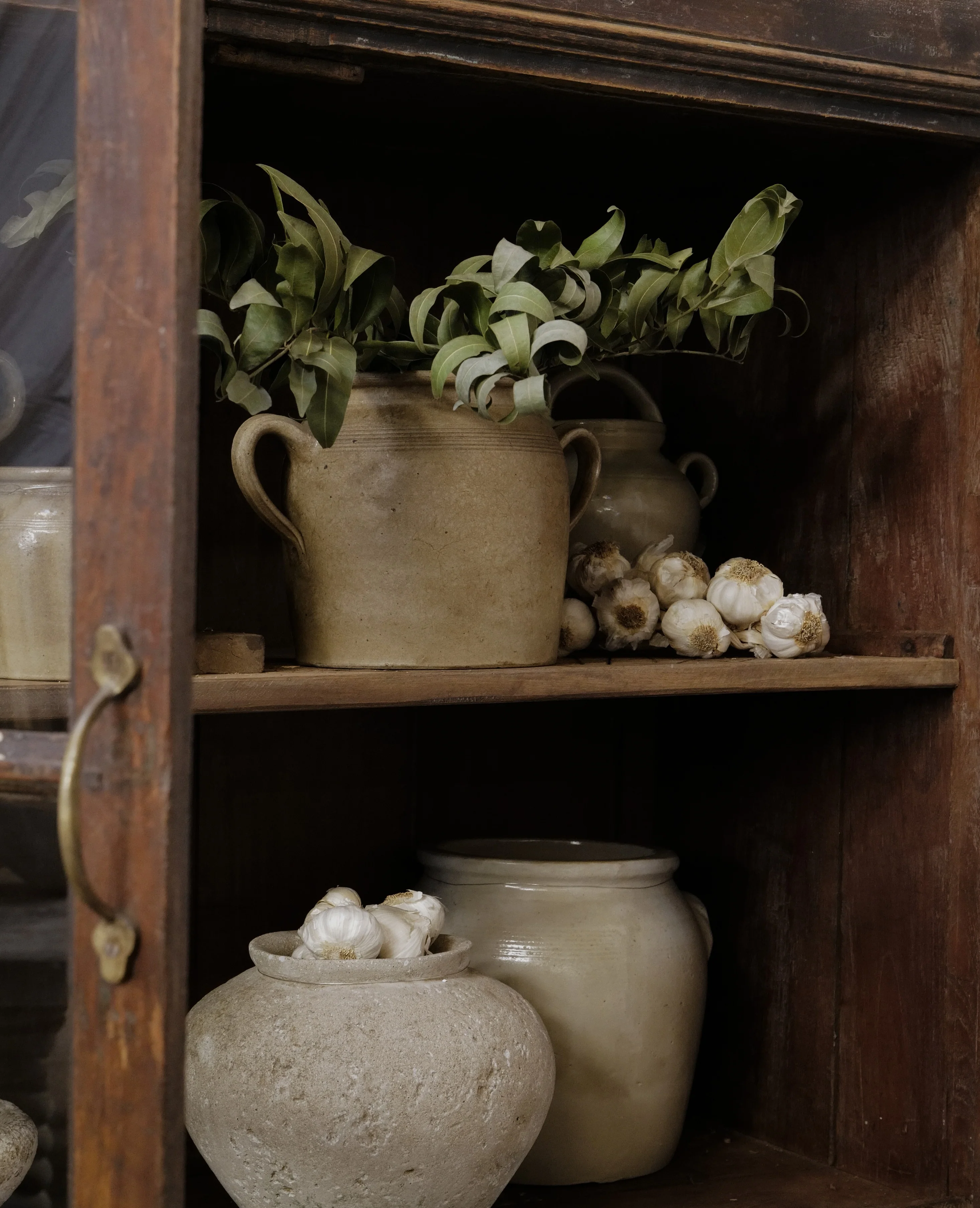 Confit Jar - Loop Handle - Image 3